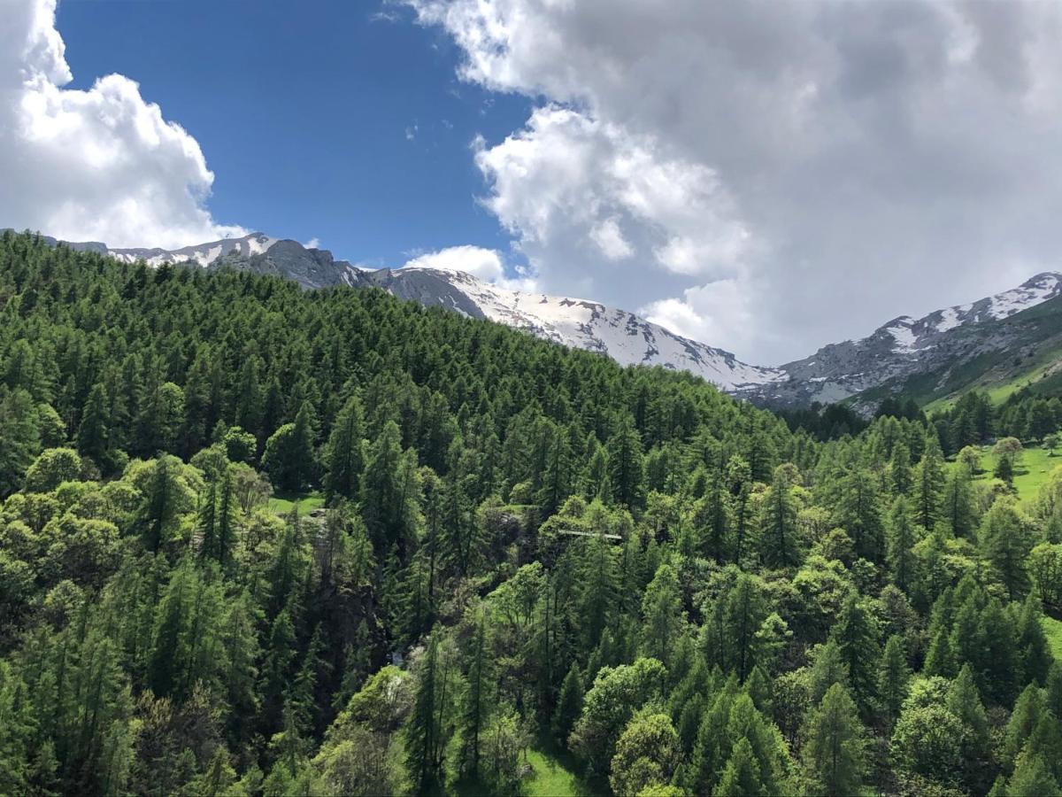 Foux D'Allos - Appartement Charmant Et Fonctionnel Luaran gambar